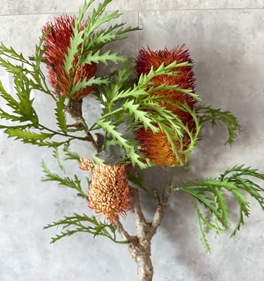 Silky Flower Store Artificial Banksia Flower Stem Pink Light Red, Realistic Floral Branch Wedding Home Décor, 35 inch 11 11 Product: Jucgghk Vivid and Realistic Floral Art 35" Tall Banksia Flower Branch,Artificial Pink Flower for Centerpieces | DIY Floral | Wedding/Home Decoration | Gifts(NO VASE)(Light red)