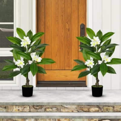 Product: Briful Artificial Plants Indoor 26.77'' Fake Tropical Plumeria Flowers Tree Plants in Black Pot Hawaiian White Plumeria Rubra Faux Frangipani Tree Floor Plant for Home Office Wedding Decor