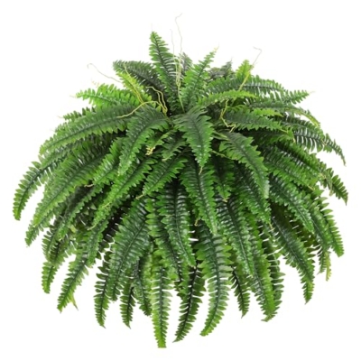 Product: Dkaltm Single Silky Artificial Boston Fern Bush, 49Inch Large Artificial Ferns for Outdoors, Large Faux Ferns Artificial Plants,Suitable for Decorating Office, Living Room Faux Greenery,95Branches