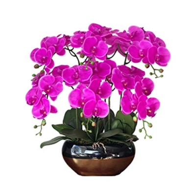 Product: Faux Purple Phalaenopsis Orchid, Butterfly Orchids with Ceramic Flower Pot, Beautiful Artificial Flowers Bonsai for Decorating Home/Office/Meeting Room/Parlor Table Centerpiece Office Wedding Party De