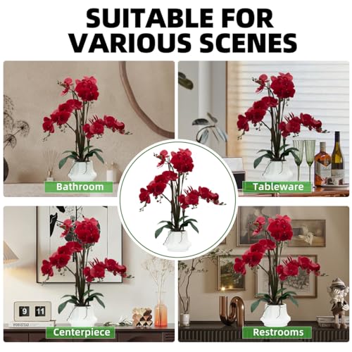 Product: CXGS Artificial Orchid Flower Plant 20.9'' Real Touch Faux Orchids in Ceramic Vase Red Fake Phalaenopsis Flower Arrangement Silk Orchids with Stems for Centerpiece Table Home Indoor Decor