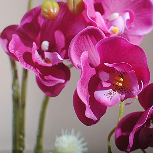 Product: QSYJCCXDL Artificial Flower with Ceramic Pot Set Artificial 2 Heads Phalaenopsis Faux Orchid for Home/Bedroom/Parlor/Dining Room Decor, 21" H Table Centerpiece Office Wedding Party Decoration