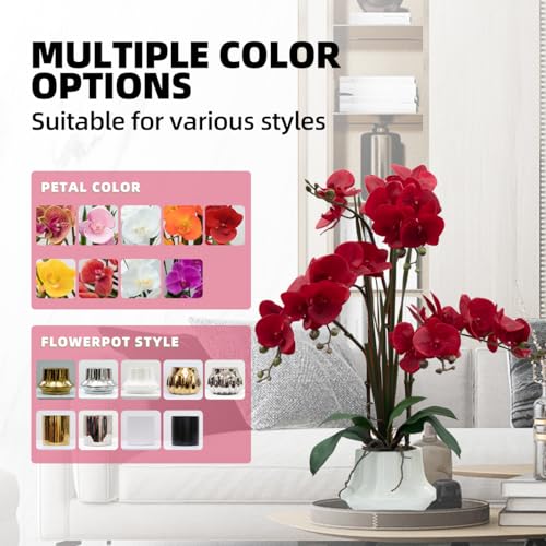 Product: CXGS Artificial Orchid Flower Plant 20.9'' Real Touch Faux Orchids in Ceramic Vase Red Fake Phalaenopsis Flower Arrangement Silk Orchids with Stems for Centerpiece Table Home Indoor Decor