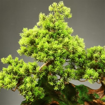 Product: MOOWI Artificial Bonsai Tree Floor Artificial Bonsai Tree Hotel Clubhouse Entrance Decoration Fake Plants Potted Plants Artificial Trees Plants