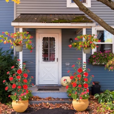 Silky Flower Store Artificial Camellia Tree, 2Pack Red Flowers, Cement Pots, 39.37in 8 8 Product: HanJoy 2Pack 39.37" Artificial Camellia Trees with 32 Red Flowers in Cement Pots – Lifelike Fake Trees for Front Porch, Home, Indoor Outdoor Spring Decor, Office or Housewarming Gifts