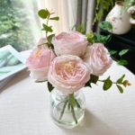 Product: Bucoke Rose Artificial Flowers in vase, Vivid Faux Rose Flowers Arrangements, Austin Rose Centerpieces for Tables, Flower Ornaments and Flower Arts for Living Room (Champagne)