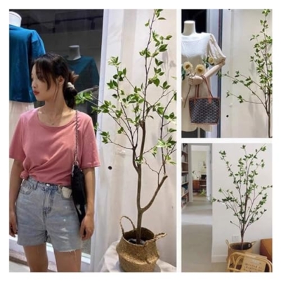 Product: GenSDH Artificial Tree 5 Ft Faux Tree Artificial Trees Artificial Camellia Artificial Plant with Black Flower Pot for Outdoor Indoor Faux Tree Decor