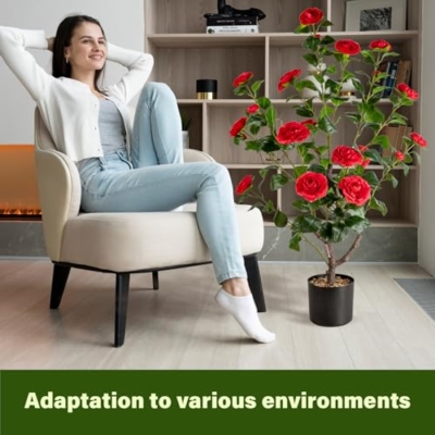 Silky Flower Store Artificial Camellia Fake Tree, 2PCS Indoor Outdoor Decorative Silk Floral Tree, 3.8FT 15 15 Product: Artificial Camellia Fake Tree 3.8FT, 2PCS Artificial Plants and Flowers for Front Door Decoration, Porch Patio Living Room Office and Indoor Outdoor Decoration