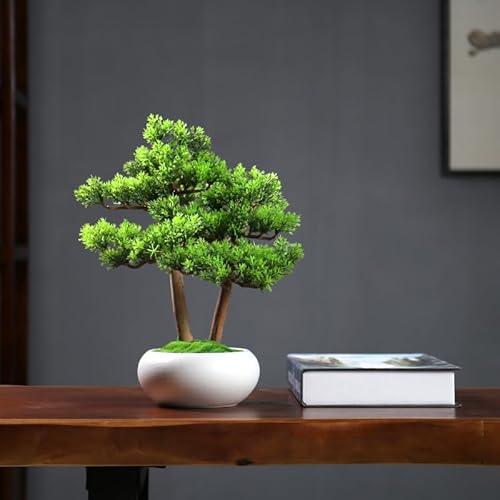 Silky Flower Store Artificial Bonsai Tree, Chinese Feng Shui Desktop Decorative Office Plant, White 20.5cm 3 3 Product: MOOWI Artificial Bonsai Tree Chinese Feng Shui Artificial Bonsai Tree Ornaments Office Desktop Landscaping Fake Green Plants Decorative Artificial Trees Plants(White)