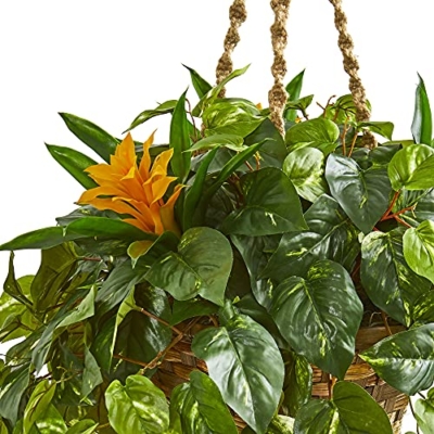 Product: Nearly Natural 31in. Bromeliad & Pothos Artificial Plant in Hanging Basket
