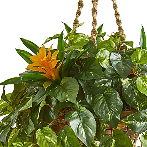 Product: Nearly Natural 31in. Bromeliad & Pothos Artificial Plant in Hanging Basket
