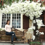 Product: Artificial Trees Outdoor Plants Artificial Begonia Tree White Flowers Hotel Decoration | Indoor/Outdoor Large Plant for Wedding Photography Background Decoration(2.5 * 2m/98 * 78in)