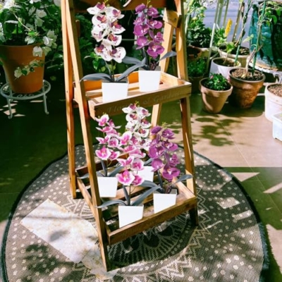 Product: JINXIAN 3 Pieces Orchids Artificial Flowers & Plants 30 cm Artificial Flowers in Pot Artificial Flowers Like Real Artificial Flowers Artificial Plant for Living Room Office Decoration