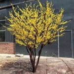 Product: Simulation of Winter Jasmine Tree, Small Yellow Flower Yellow Plant Fake Tree Large Indoor Living Room Floor Floral Art Happiness Tree Decoration 6M