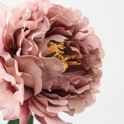 Product: DUYHBAWRS Simulated Flower Fairy Peach Peony Flower Artificial Flower Photography Wedding Home Decoration(E)