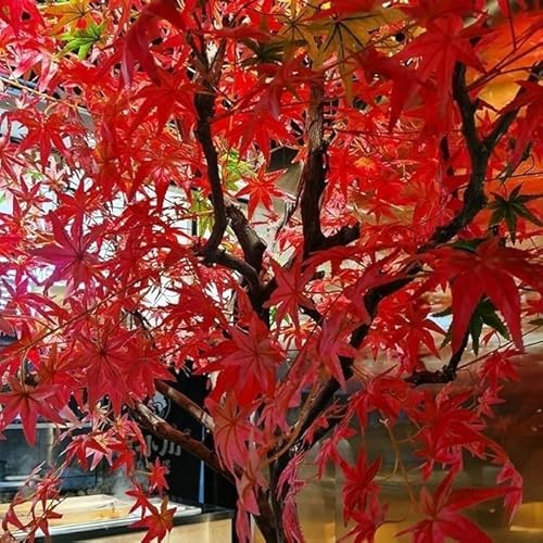 Silky Flower Store Artificial Red Maple Tree Japanese Courtyard Style, Modern Home Office Decor, Easy Installation, 1mx0.8m 3 3 Product: Artificial Red Maple Tree - Japanese Courtyard Style Perfect for Modern Home and Office Decor Easy Installation!(1mx0.8m)
