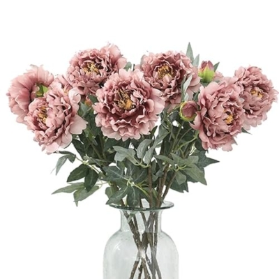 Product: DUYHBAWRS Simulated Flower Fairy Peach Peony Flower Artificial Flower Photography Wedding Home Decoration(E)