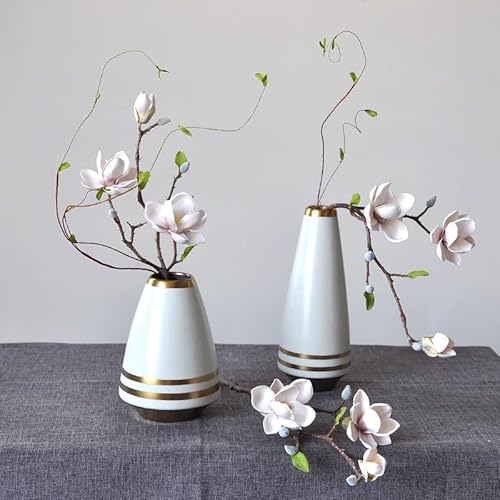Product: DUYHBAWRS Simulated Household Soft Decoration Withbranches of Magnolia Flower Decoration, Living Room Photography(Black)