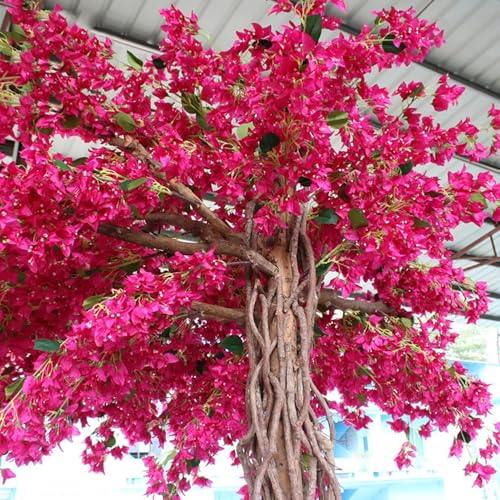 Product: Artificial Bougainvillea Tree, Faux Tree Realistic Bougainvillea Plant with Flowers/Leaves for Home Office Garden Farmhouse Christmas Holiday Decor(2x1.8m/78x72in)