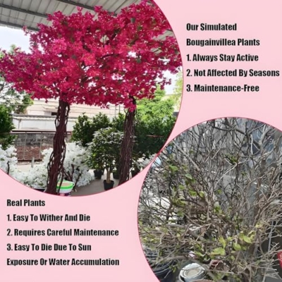 Silky Flower Store Artificial Bougainvillea Tree, Lifelike UV Resistant Faux Flower, Indoor Outdoor Décor, 1.5m x 1.5m 12 12 Product: Bougainvillea Artificial Tree Lifelike Bougainvillea Tree Uv- Resistance Faux Blooming Flower For Home/Office/Garden/Party/Wedding Decor,1.5 * 1.5m