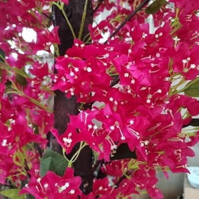 Product: Artificial Bougainvillea Tree - Large Fake Tree for Indoor Outdoor Decoration - Simulation Plant for Landscaping