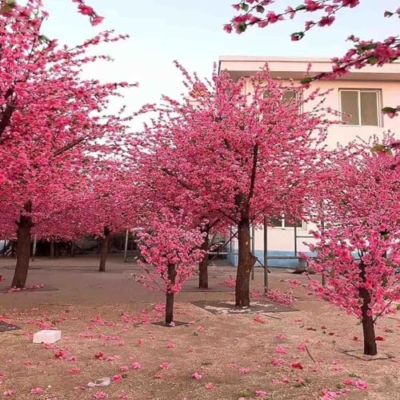 Product: Handmade Light Pink Cherry Tree, Artificial Cherry Blossom Tree, with Blossom Branches, for Indoor and Outdoor Decoration Exhibition Layout Shopping Wedding Party,001,1.8x1.5m/5.9x4.9ft