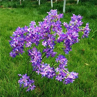 Product: Zereff - Silk Artificial Flowers Encryption Cross Cherry Blossom Simulation Wedding Home Decoration Fake Vase Flower - (Size: Total Height 90cm, Color: Purple Blue)