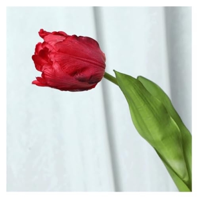 Product: DUYHBAWRS Indoor Engineering Decoration Simulation of Multi Layered Tulips with Large Branches and Flowers(D)