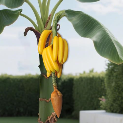 Product: FLCPJGV Artificial Banana Harvest Decoration Decorative Decorative Banana Bunch Faux Fruit Prop for Kitchen Education, Yellow