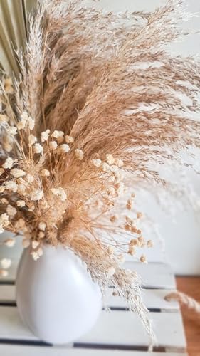 Product: Floral Arrangement Neutral White Beige Preserved Flowers In Vase Palm Dried Flowers Everlasting Bouquet Natural Home Wedding Décor for Front Door Farmhouse Indoor Outdoor (WHITE) Garland for Table Cen