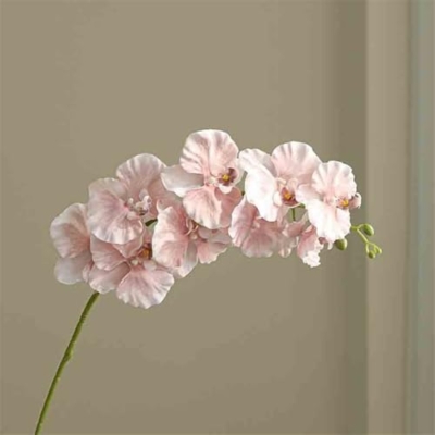 Product: Floral Installations Pink Phalaenopsis Simulation Flowers Single Fake Flowers Living Room Flower Arrangement Desktop Party Decoration