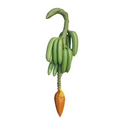 Product: FQRDKT Artificial Banana String Harvest Decoration Lifelike Faux Fruit Prop Simulation Fruit for Kitchen Restaurant Education Home, Green