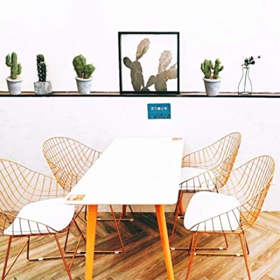 Product: Fycooler Artificial Succulent Plants Faux Cactus-Decorative Faux Succulents Potted Fake Cactus Cacti with Rock and Sand,Artificial Faux Cactus For Bathroom/Home Décor DIY House Decorations(B SET)