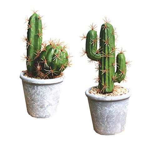 Product: Fycooler Artificial Succulent Plants Faux Cactus-Decorative Faux Succulents Potted Fake Cactus Cacti with Rock and Sand,Artificial Faux Cactus For Bathroom/Home Décor DIY House Decorations(B SET)