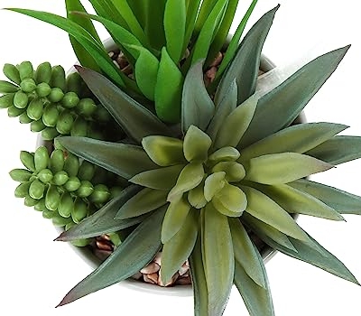 Product: IJOWEEN Artificial Succulent Plant Set of 2, 7-Inch Tall Indoor Faux Greenery with White Ceramic Pots