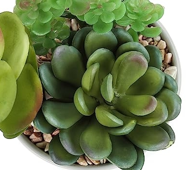 Product: IJOWEEN Artificial Succulent Plant Set of 2, 7-Inch Tall Indoor Faux Greenery with White Ceramic Pots