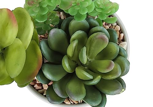 Product: IJOWEEN Artificial Succulent Plant Set of 2, 7-Inch Tall Indoor Faux Greenery with White Ceramic Pots