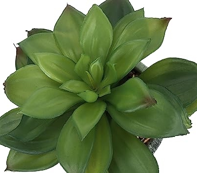 Product: IJOWEEN Charming Succulent Set for a Refreshing Indoor Vibe, Low Faux Plants in Stylish Grey Cement Pots, for Home Decor