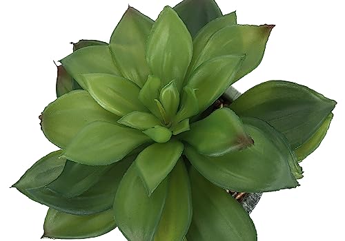 Product: IJOWEEN Charming Succulent Set for a Refreshing Indoor Vibe, Low Faux Plants in Stylish Grey Cement Pots, for Home Decor