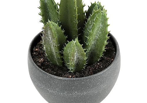 Product: IJOWEEN Set of 3 Artificial Succulent Plants, 6" Tall Indoor Greenery in Grey Cement Pots