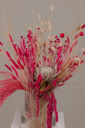 Product: Kind Protea Preserved & hot Pink Amaranthus Dried Loose Flowers Centerpiece and vase Arrangement for Home and Wedding(Green) Garland for Table Centerpiece Holiday Party Weddi
