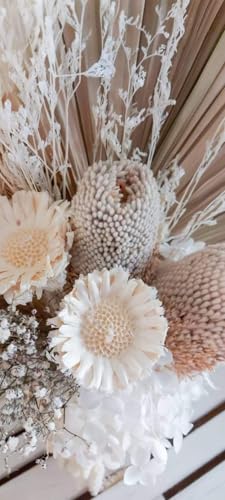Product: Neutral White Beige Preserved Floral Arrangement In Vase Palm Banksia Dried Flowers Everlasting Bouquet Natural Home Wedding Décor for Front Door Hanging Wall Window Party Decoration(white) Garland fo