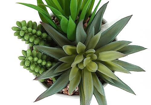 Product: OPAHDN Enhance Your Space with 7" Tall Artificial Succulent Plants, Easy Care Faux Greenery in White Ceramic Pots, Set of 2