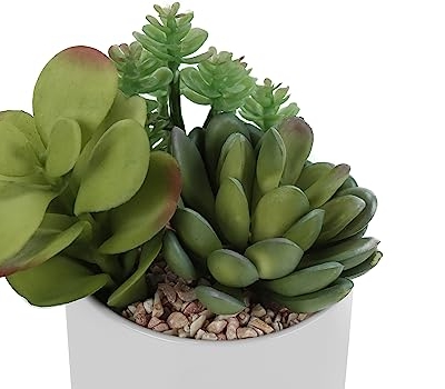 Product: OPAHDN Enhance Your Space with 7" Tall Artificial Succulent Plants, Easy Care Faux Greenery in White Ceramic Pots, Set of 2