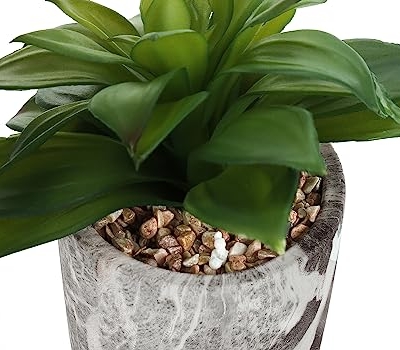 Product: OPAHDN Indoor Faux Succulent Plants Set of 2, 7" Tall Greenery in Grey Cement Pots