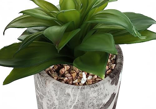 Product: OPAHDN Indoor Faux Succulent Plants Set of 2, 7" Tall Greenery in Grey Cement Pots