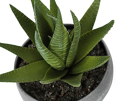 Product: OPAHDN Set of 3 Artificial Succulent Plants for Vibrant Home Décor, Easy Care Greenery in Stylish Grey Cement Pots,