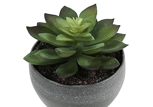 Product: OPAHDN Set of 3 Artificial Succulent Plants for Vibrant Home Décor, Easy Care Greenery in Stylish Grey Cement Pots,