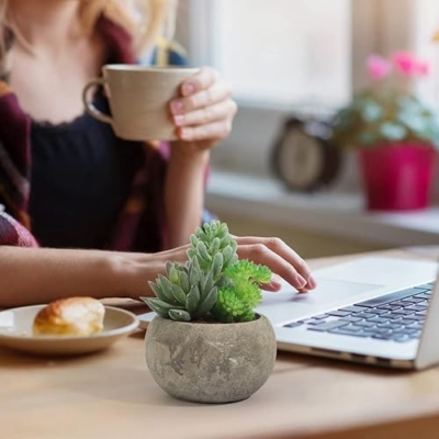 Product: Vasemouh Artificial Succulents Set of 4,Fake Succulents Home Office School Decoration