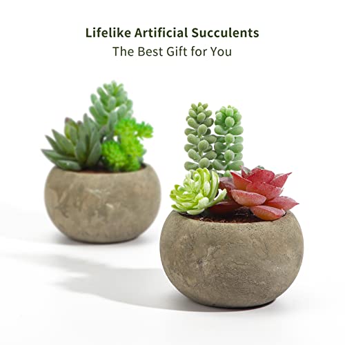 Product: Vasemouh Artificial Succulents Set of 4,Fake Succulents Home Office School Decoration